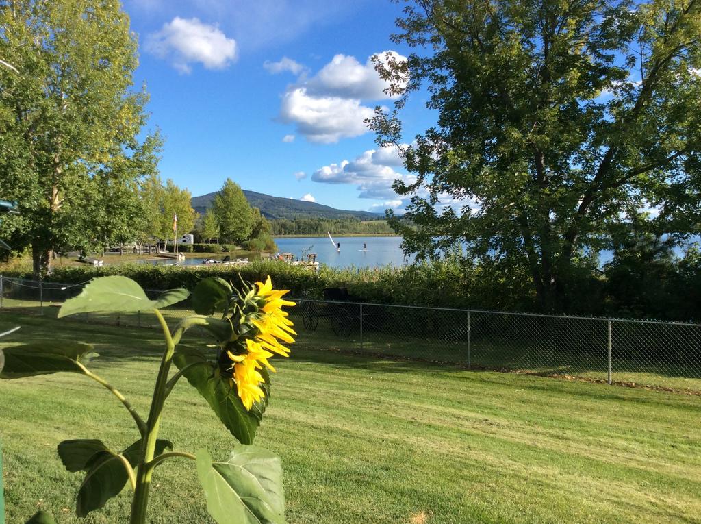 كويسنيل Robert'S Roost Rv Park Resort المظهر الخارجي الصورة